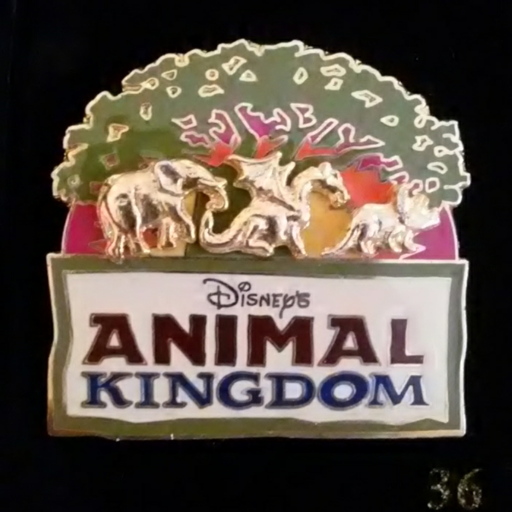 Disney pin